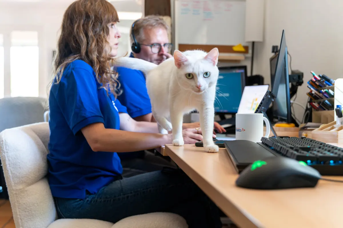 L'équipe FDSEO en train de travailler au bureau avec Perle, le chat de l'agence