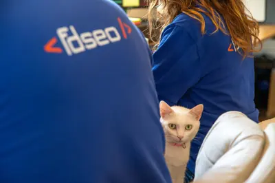 Perle, la chatte blanche de l'agence FDSEO, entre Frédéric et Blandine au bureau